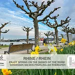 Hidden Treasure Altstadt - Rheinblick & Parkplatz Im Haus