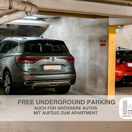 公寓 Hidden Treasure Mainz Altstadt - Rheinblick & Parkplatz Im Haus 美因茨