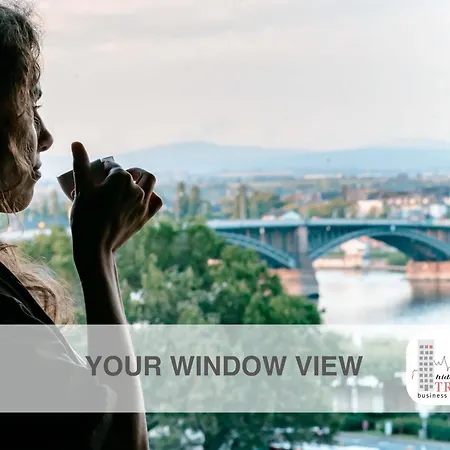 Hidden Treasure Mainz Altstadt - Rheinblick & Parkplatz Im Haus