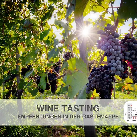 Daire Hidden Treasure - Old Town, Business & Wine *