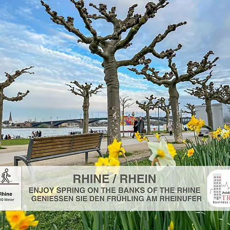 Hidden Treasure Altstadt - Rheinblick & Parkplatz Im Haus