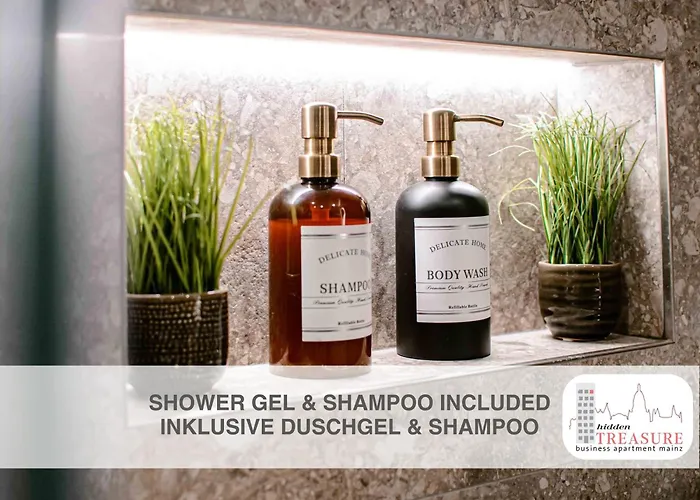 Hidden Treasure - Altstadt, Rheinblick Und Garage Inklusive