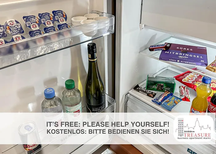 Hidden Treasure Mainz Altstadt - Rheinblick & Parkplatz Im Haus 美因茨