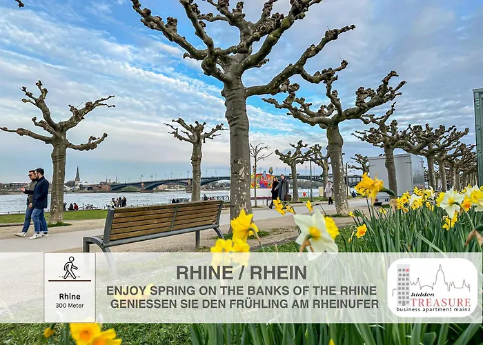Hidden Treasure - Altstadt, Rheinblick Und Garage Inklusive