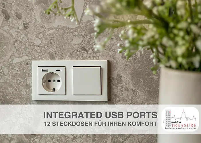 Hidden Treasure Mainz Altstadt - Rheinblick & Parkplatz Im Haus