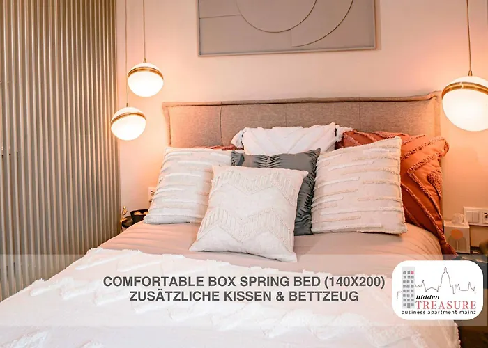 Hidden Treasure Mainz Altstadt - Rheinblick & Parkplatz Im Haus * 美因茨